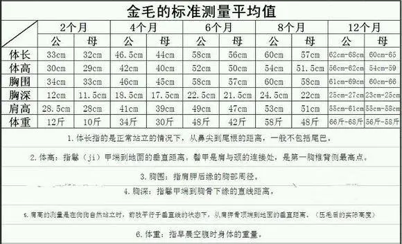 金毛犬正常体温是多少