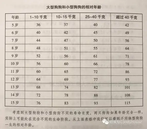 狗的1.0多少正常？了解狗的平均寿命与身体状态的重要指标