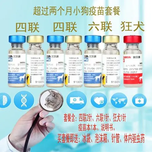 狗疫苗打多少钱一针？了解疫苗价格，保护宠物健康！