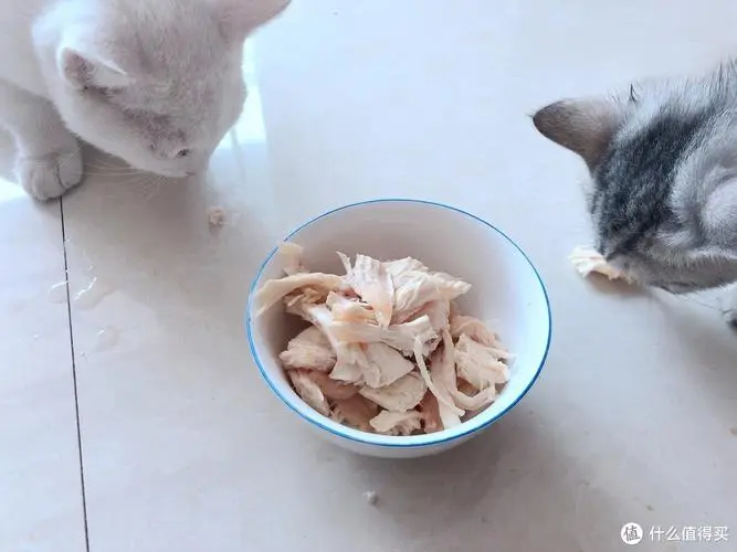 猫咪吃鸡胸肉的适量是多少？