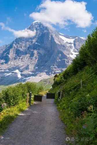 伯恩山（Bernese Mountain），又称伯尔尼兹山地犬，是一种大型工作犬。它起源于瑞士伯尔尼兹山地区，是伯尔