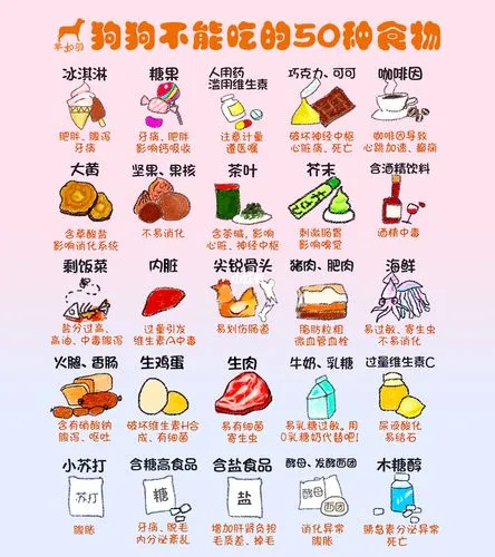 狗不可以吃什么？了解它们的禁食食物清单