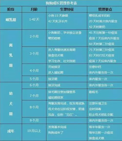 狗打疫苗多少钱？一份详细解析