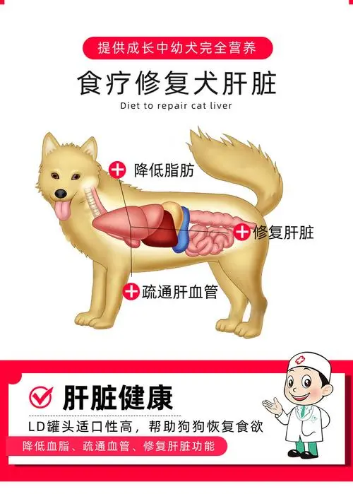 狗肝能吃吗？解析狗肝是否适合食用