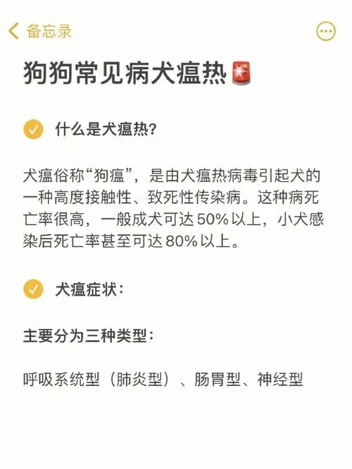 狗狗犬瘟症状—如何识别和应对犬瘟病毒感染