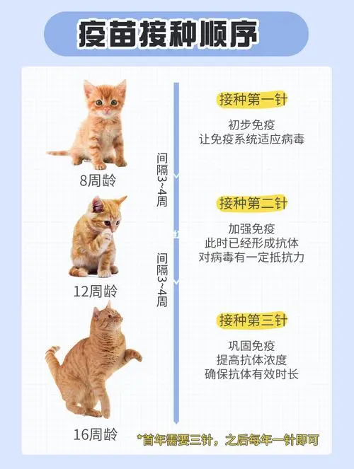 关于猫打疫苗的重要性