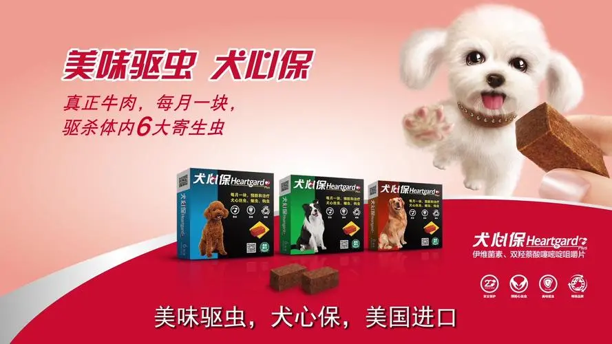 犬心保：保护宠物犬的心灵健康