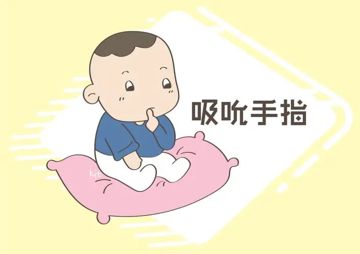 探寻叼东西的奥秘——从吮吸到咀嚼