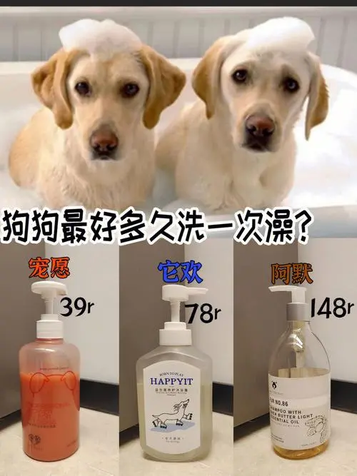 幼犬每个月洗一次澡是否合适？