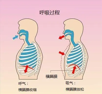 怎样喘气才正确？